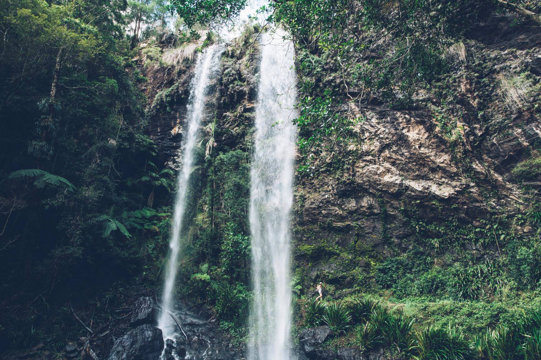 スプリングブルック国立公園 KIE オセアニア